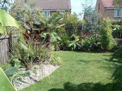 Left side of garden.