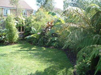 Right side of garden.