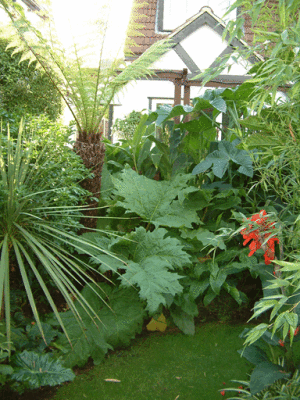 garden-july-05-007.gif