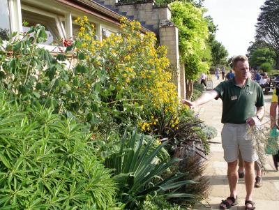 Sunny wall where Tim hopes to plant Butia yatay