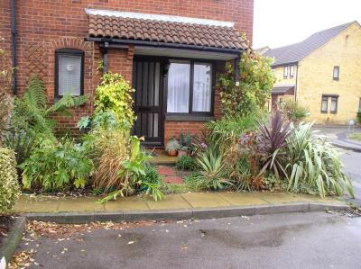 Front Garden Autumn