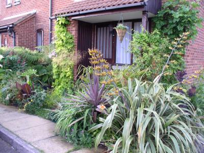 My Old West London Garden