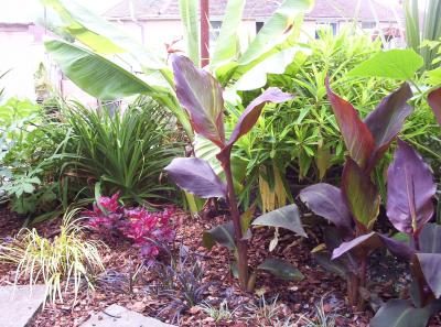 Sha`s Jungle Garden in South Wales