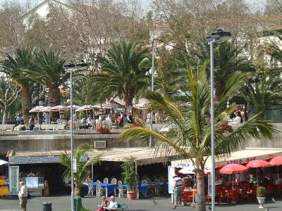 Funchal, marina