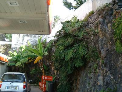 Funchal petrol station