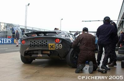 dsc_6055_std.jpg