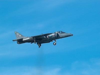 Harrier_6181543-02.jpg
