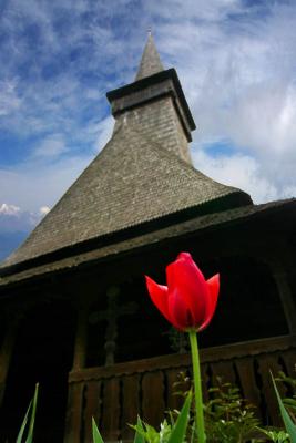 church and  tulip