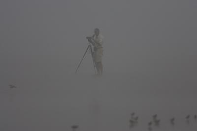 Birdwatcher in the mist