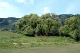 2005_0705_134539AA.jpg