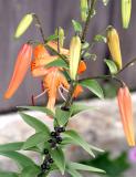 2005_0714_184007AA.jpg