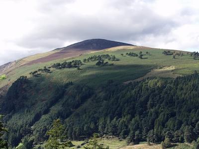 Landscapes
