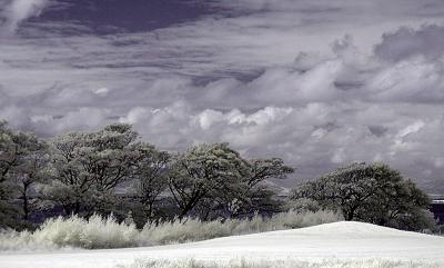 Mystic Land