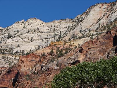 Zion in Color