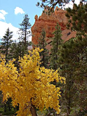Signs of Autumn