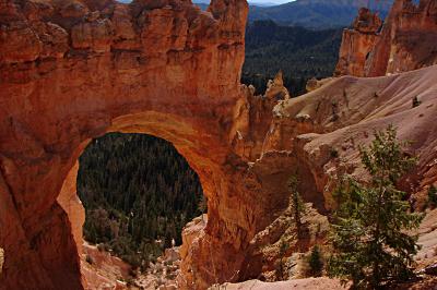 Natural Bridge
