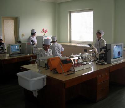 Laboratory at the Maternity Hosptial.