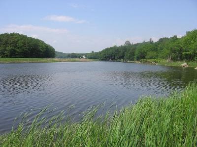 river view from museum.jpg