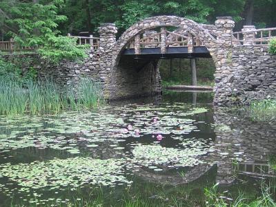 Waterlily bridge.jpg