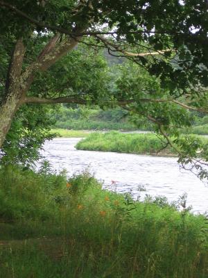 river along the road.jpg