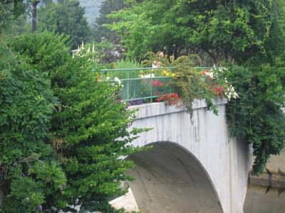 flower bridge closeup.jpg