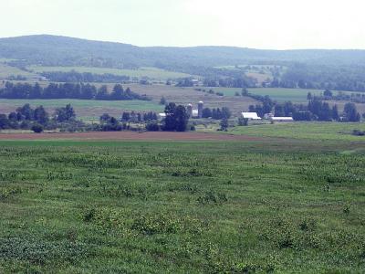 Farm land near the museum.jpg