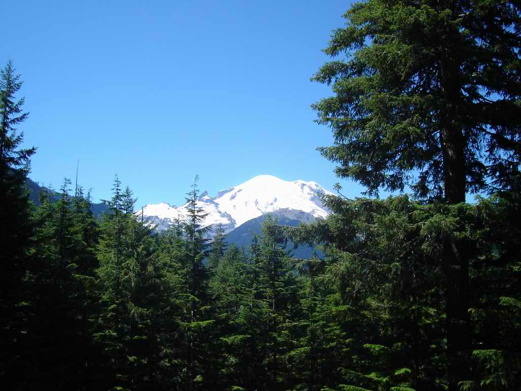 DSC00719.JPG
