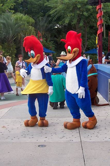 Universal12.jpg