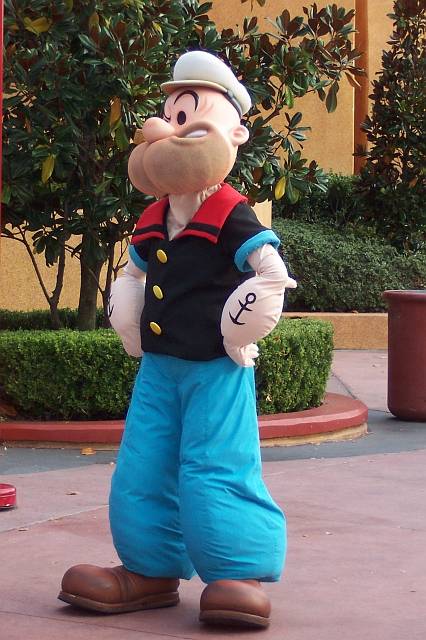 IOA91.jpg