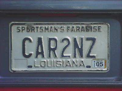 WaynesLicensePlate.jpg