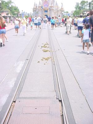 DisneyDung.jpg
