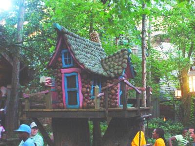 SplashSquirrelHouse.jpg