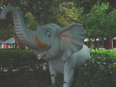 BoardwalkPoolElephant.jpg