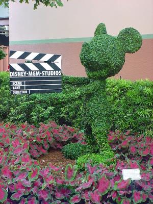MGM21.jpg
