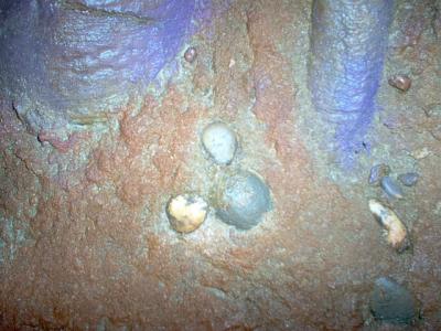 WinnieWalkaroundHiddenMickey1.jpg