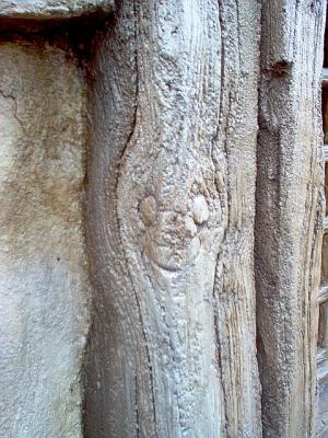 WinnieWalkaroundHiddenMickey3.jpg
