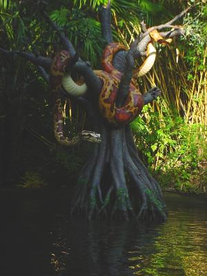 JungleCruisePython.jpg