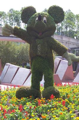 ElegantMickeyTopiary.jpg