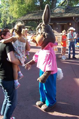 Hoedown3.jpg