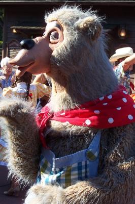 Hoedown6.jpg