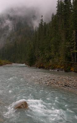 Misty River