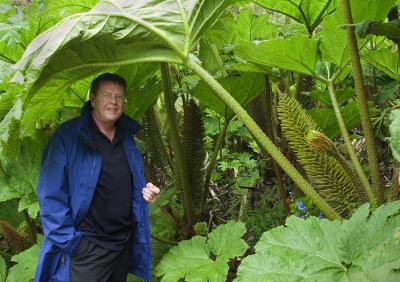 Under-the-Fern.jpg