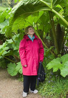 Cindy-under-the-Fern.jpg