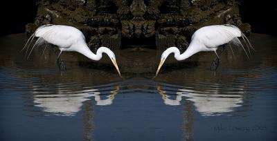p2023668mirror5x10.jpg