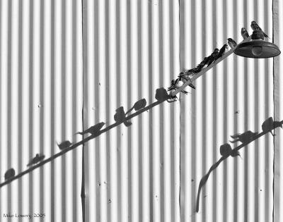 P8274334pp11x14-web.jpg