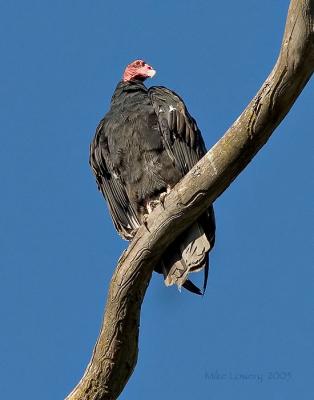 IMG_1953pp-web.jpg