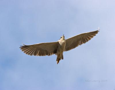 IMG_2611pp11x14ff-web.jpg