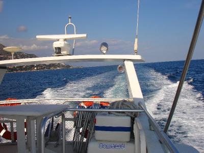 pic22.jpg