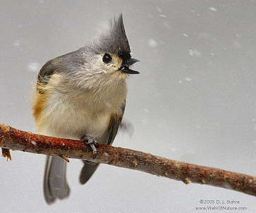 DR2-1-26-05-0053-Tit.JPG