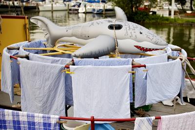 Laundry Sharkey